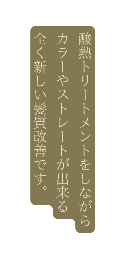 酸熱トリートメントをしながら カラーやストレートが出来る 全く新しい髪質改善です